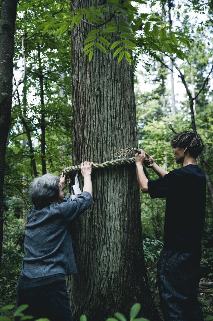 第2エリア神話型林業