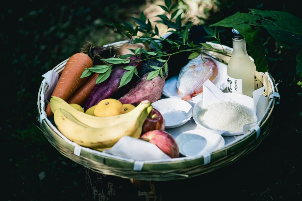 第2エリア神話型林業