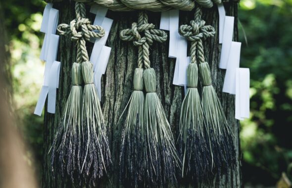 第2エリア神話型林業