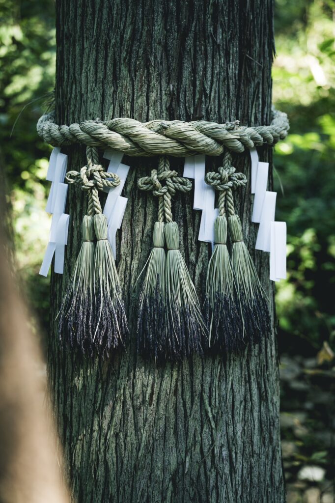 第2エリア神話型林業