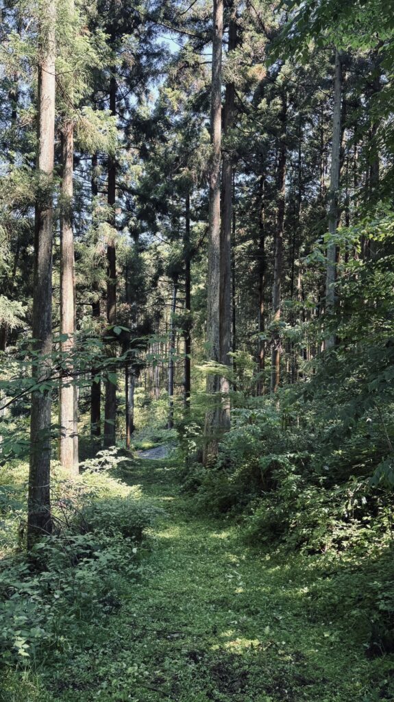 第２エリアの状況