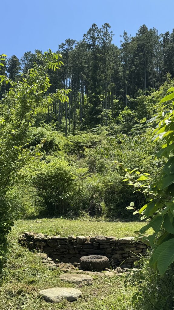 第1エリアの状況